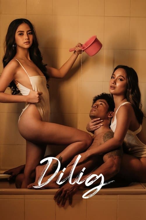 Watch Dilig - Luganda Translated Movie by Vj Zaidi